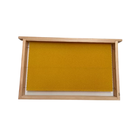 Quadro Ninho/Alca Langstroth com Cera